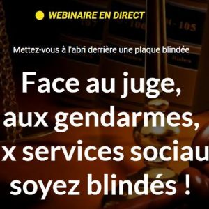 Séance 2 heures de conseil David Vincent + Rémy DW. Webinaire en direct