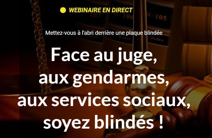 Séance 2 heures de conseil David Vincent + Rémy DW. Webinaire en direct